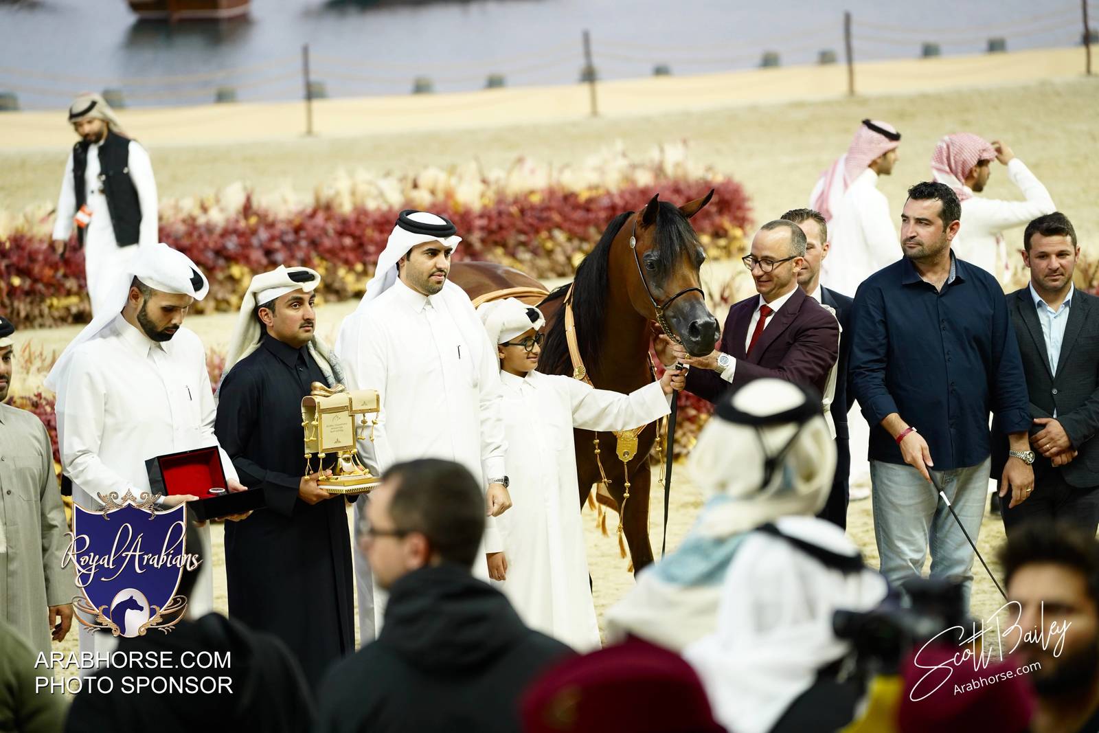 2024 KATARA SHOW - CHAMPIONSHIPS!