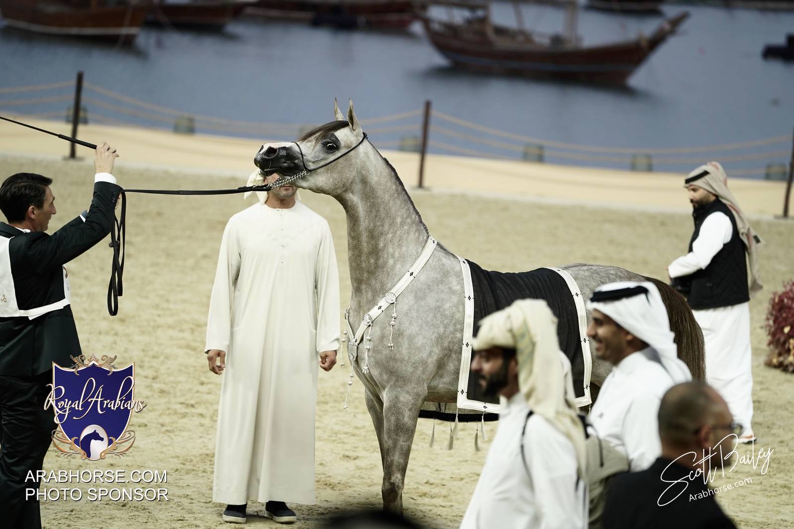 2024 KATARA SHOW - CHAMPIONSHIPS!