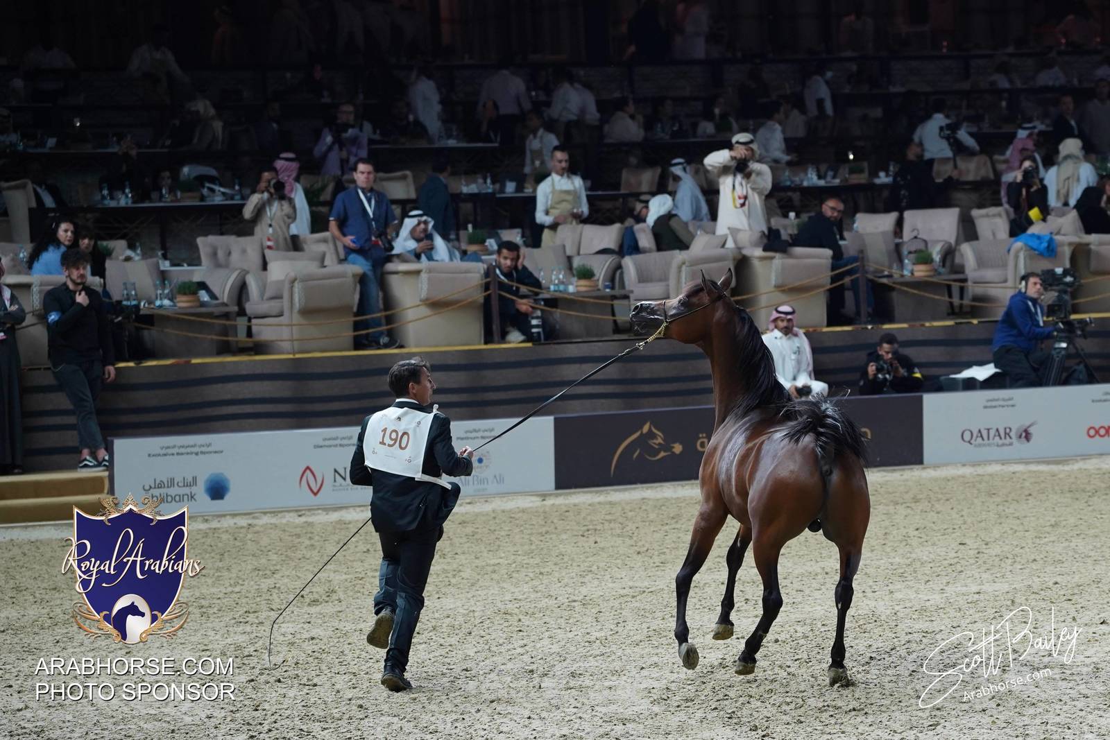 2024 KATARA SHOW - CHAMPIONSHIPS!