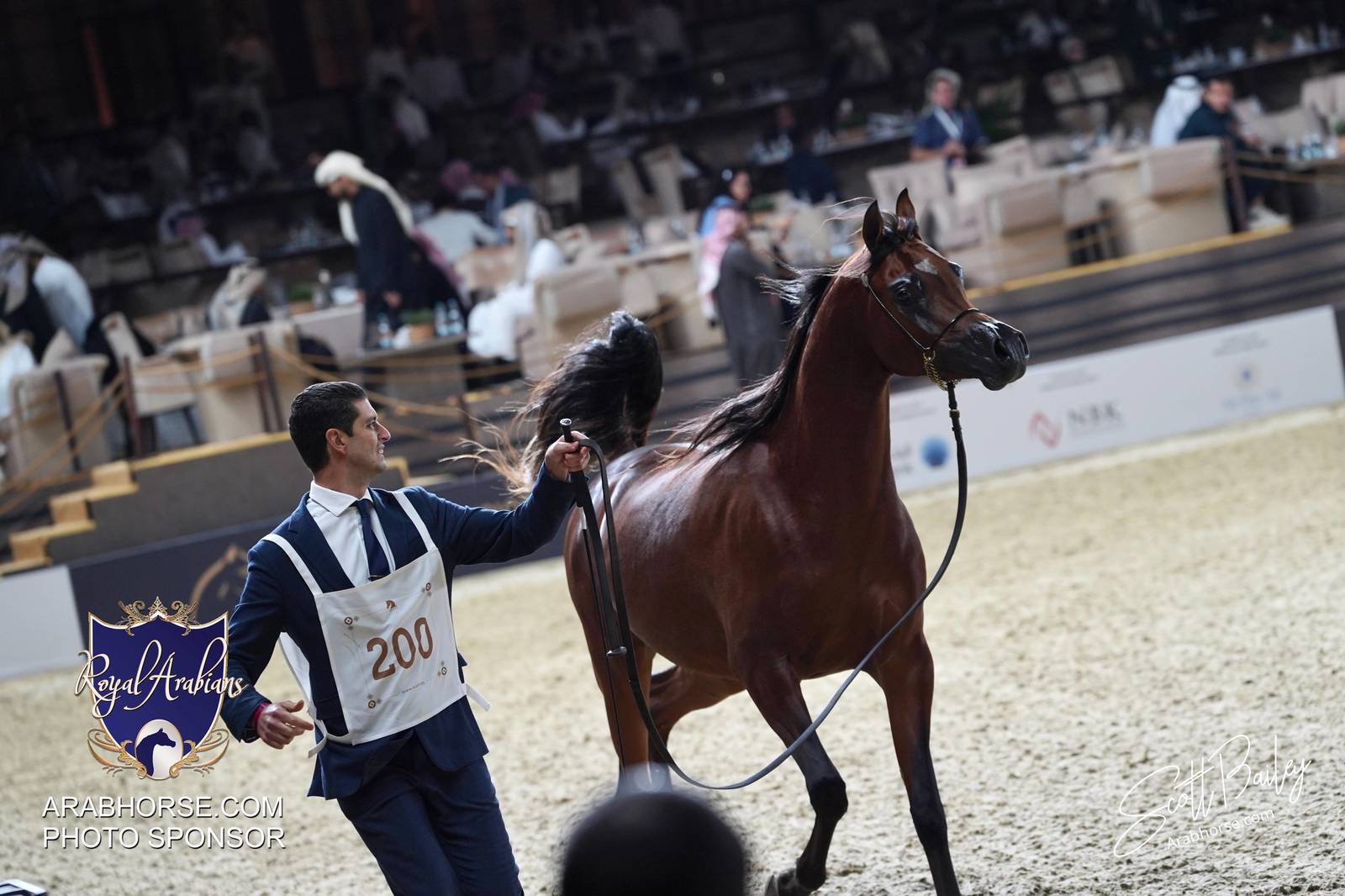 2024 KATARA SHOW - CHAMPIONSHIPS!