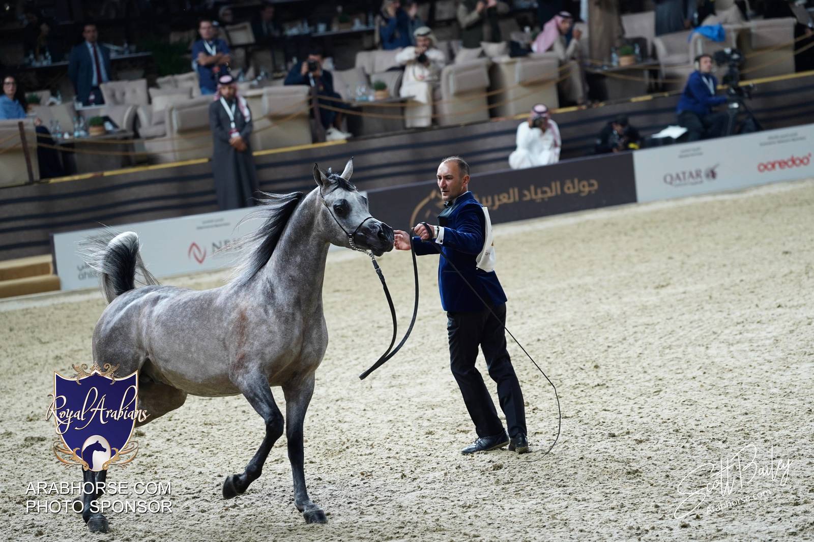 2024 KATARA SHOW - CHAMPIONSHIPS!