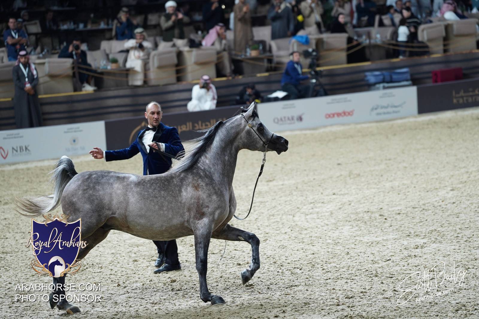 2024 KATARA SHOW - CHAMPIONSHIPS!