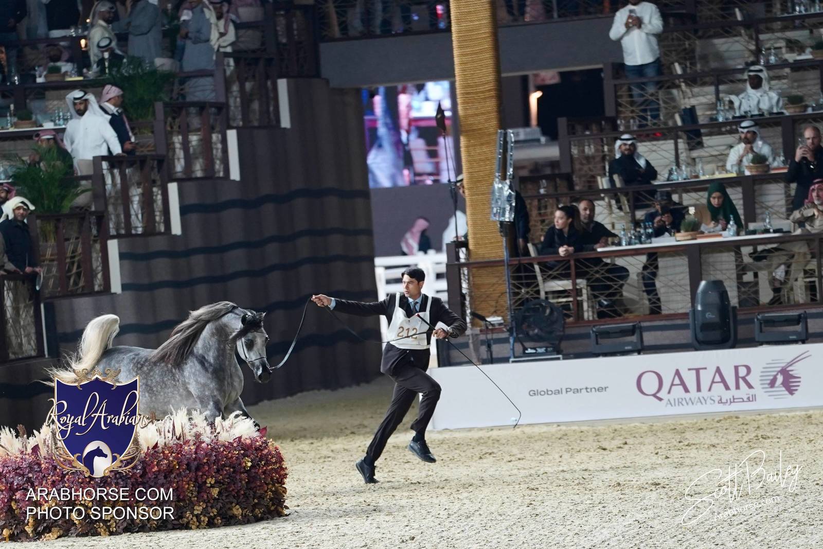 2024 KATARA SHOW - CHAMPIONSHIPS!