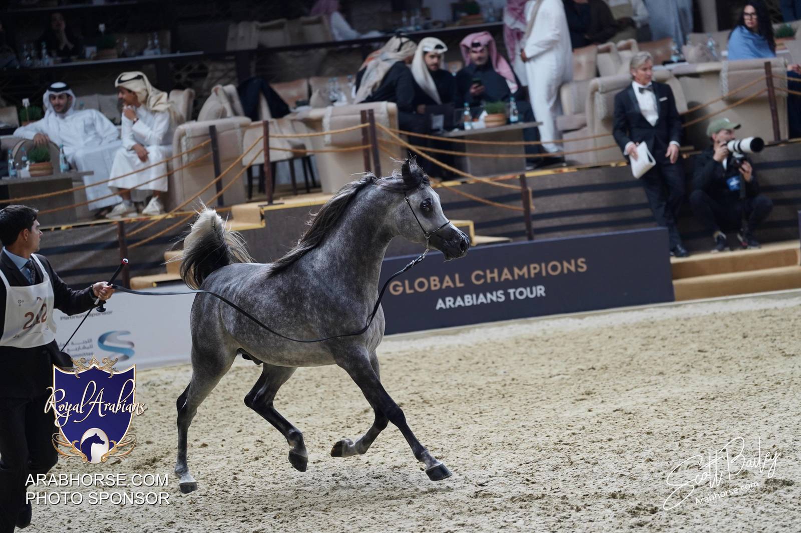 2024 KATARA SHOW - CHAMPIONSHIPS!