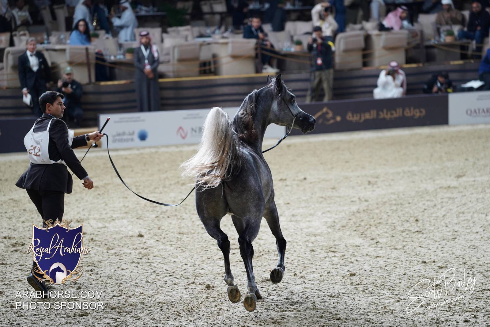 2024 KATARA SHOW - CHAMPIONSHIPS!