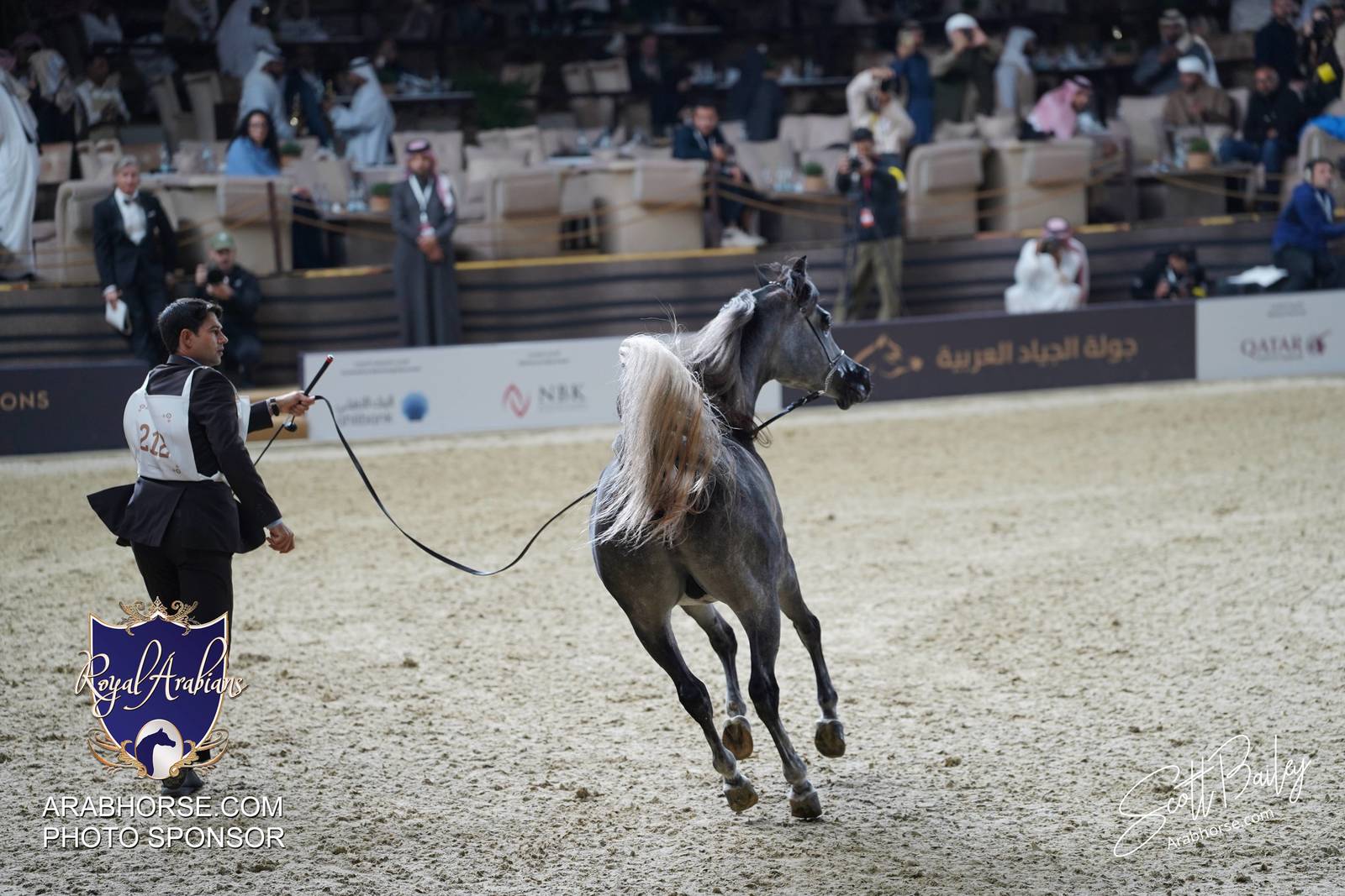 2024 KATARA SHOW - CHAMPIONSHIPS!