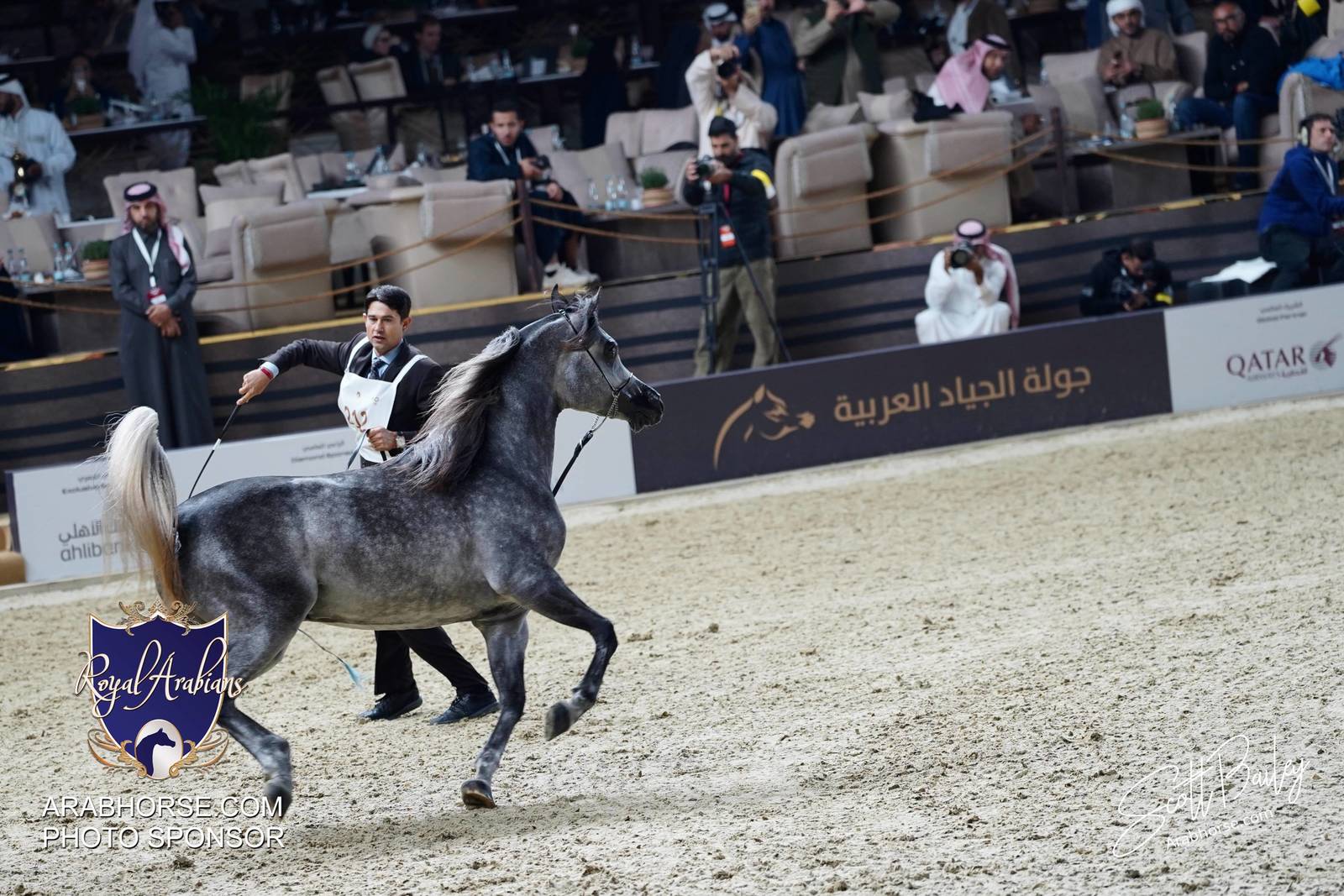 2024 KATARA SHOW - CHAMPIONSHIPS!