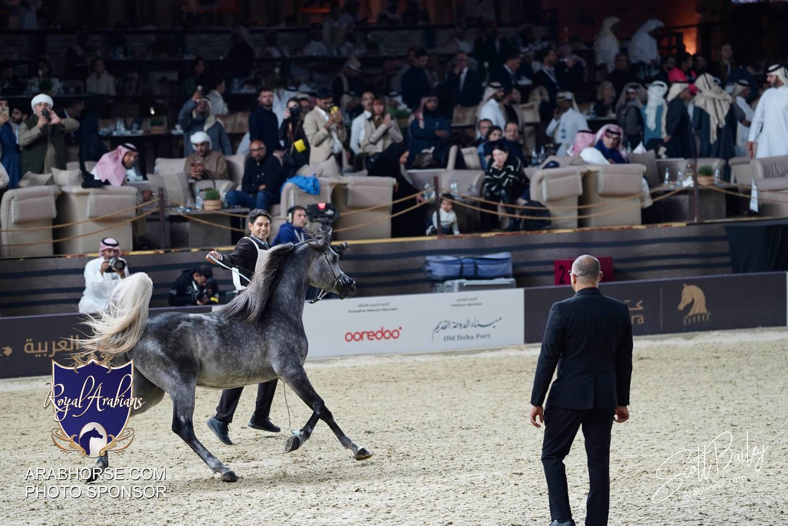 2024 KATARA SHOW - CHAMPIONSHIPS!