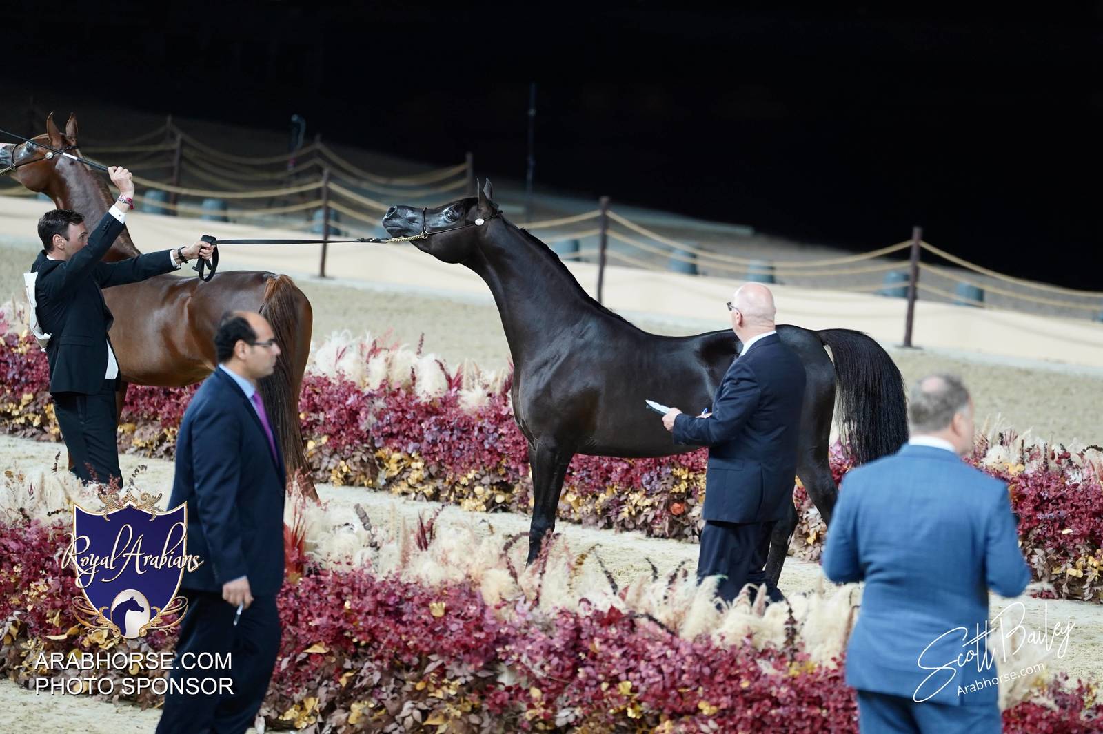 2024 KATARA SHOW - CHAMPIONSHIPS!