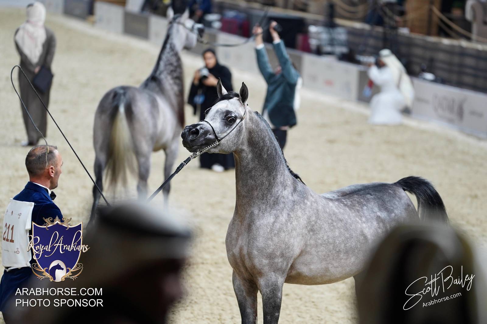 2024 KATARA SHOW - CHAMPIONSHIPS!