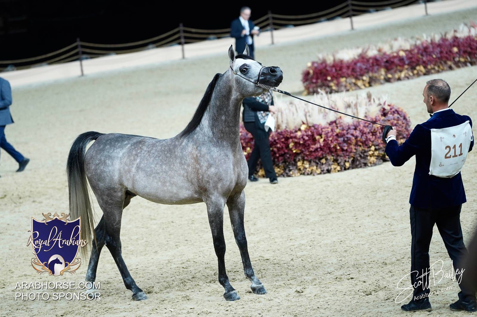 2024 KATARA SHOW - CHAMPIONSHIPS!