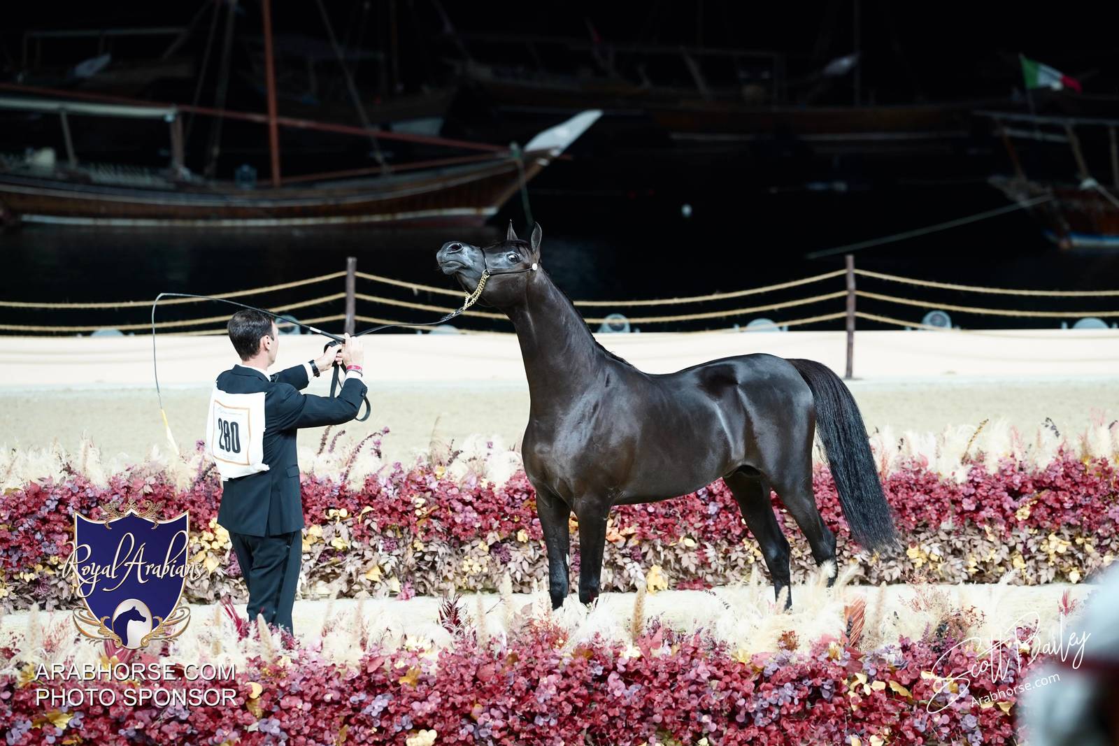 2024 KATARA SHOW - CHAMPIONSHIPS!