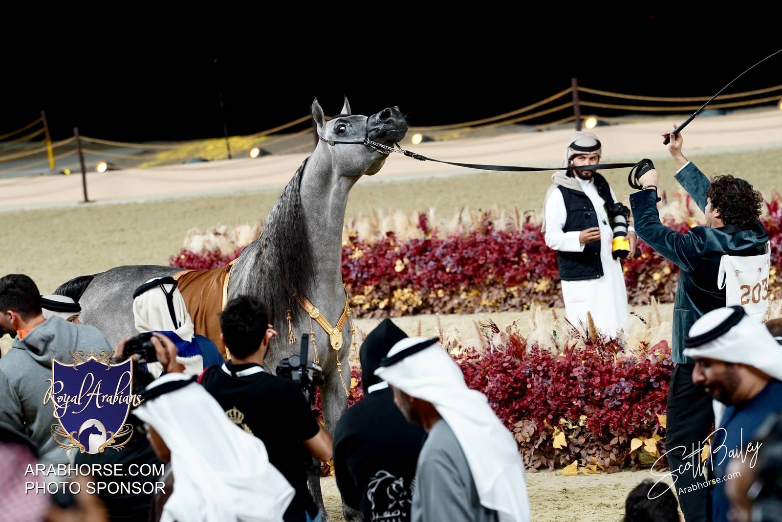 2024 KATARA SHOW - CHAMPIONSHIPS!