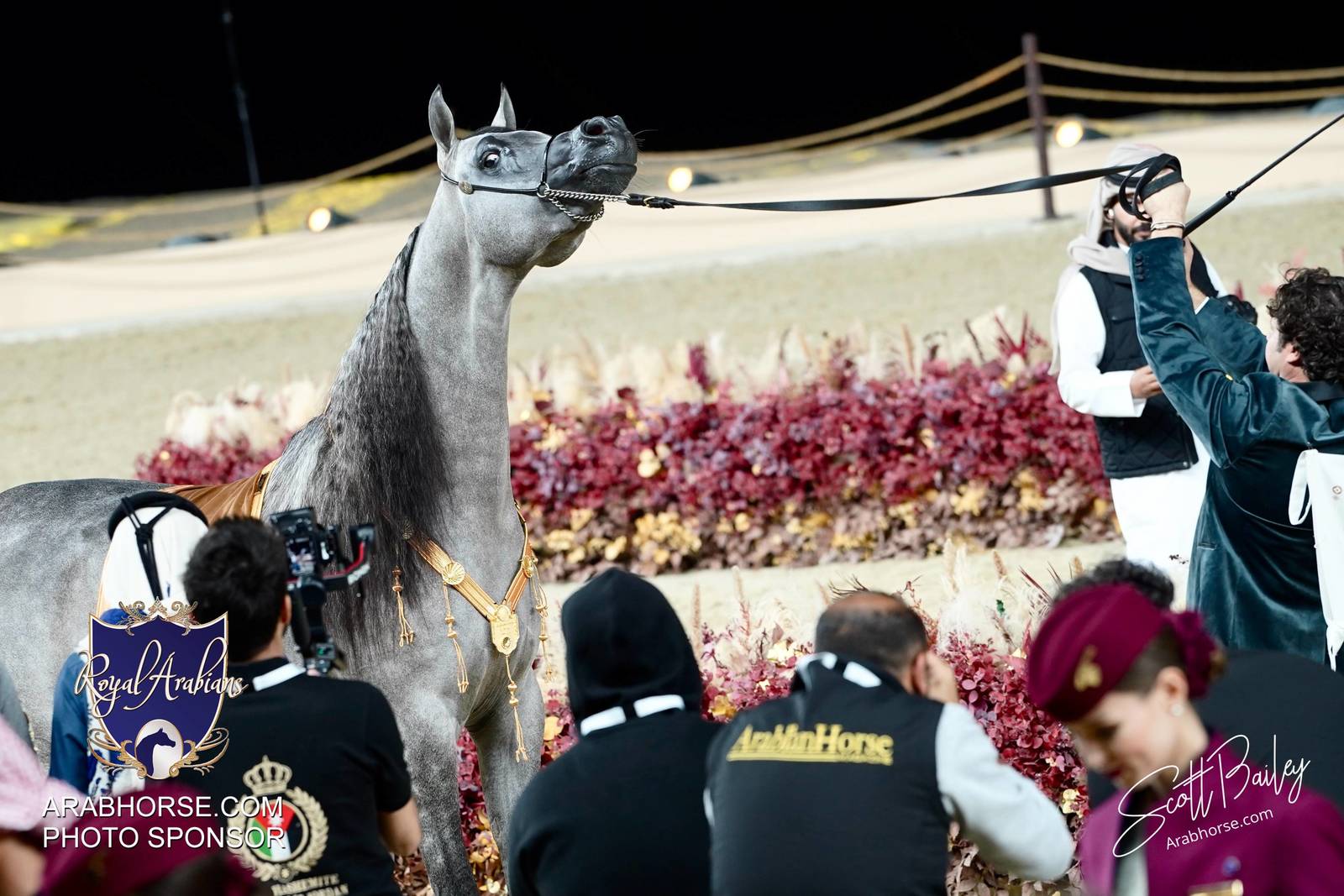 2024 KATARA SHOW - CHAMPIONSHIPS!