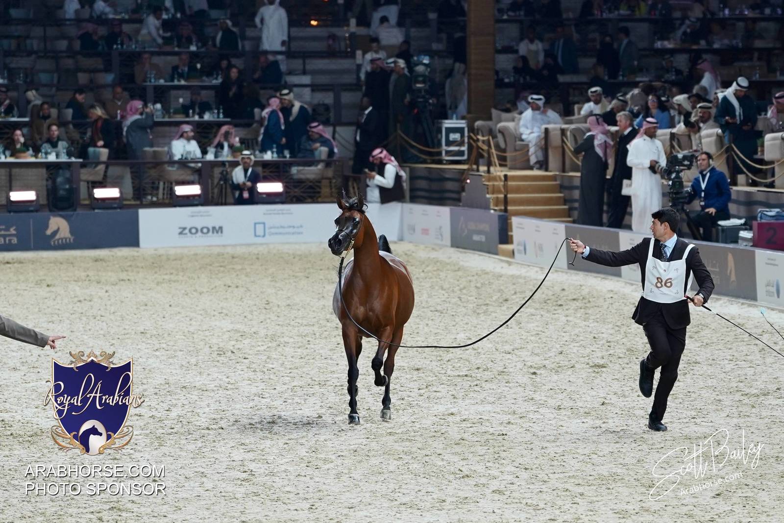 2024 KATARA SHOW - CHAMPIONSHIPS!