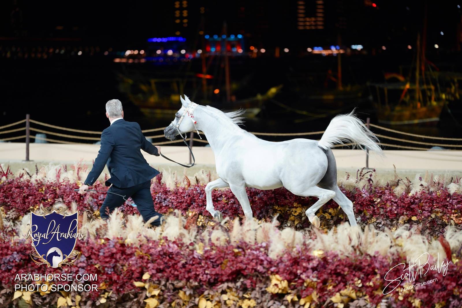 2024 KATARA SHOW - CHAMPIONSHIPS!