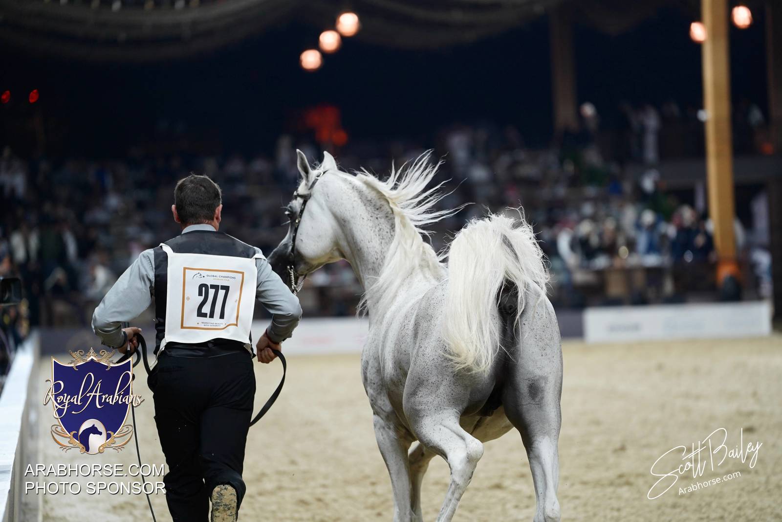 2024 KATARA SHOW - CHAMPIONSHIPS!