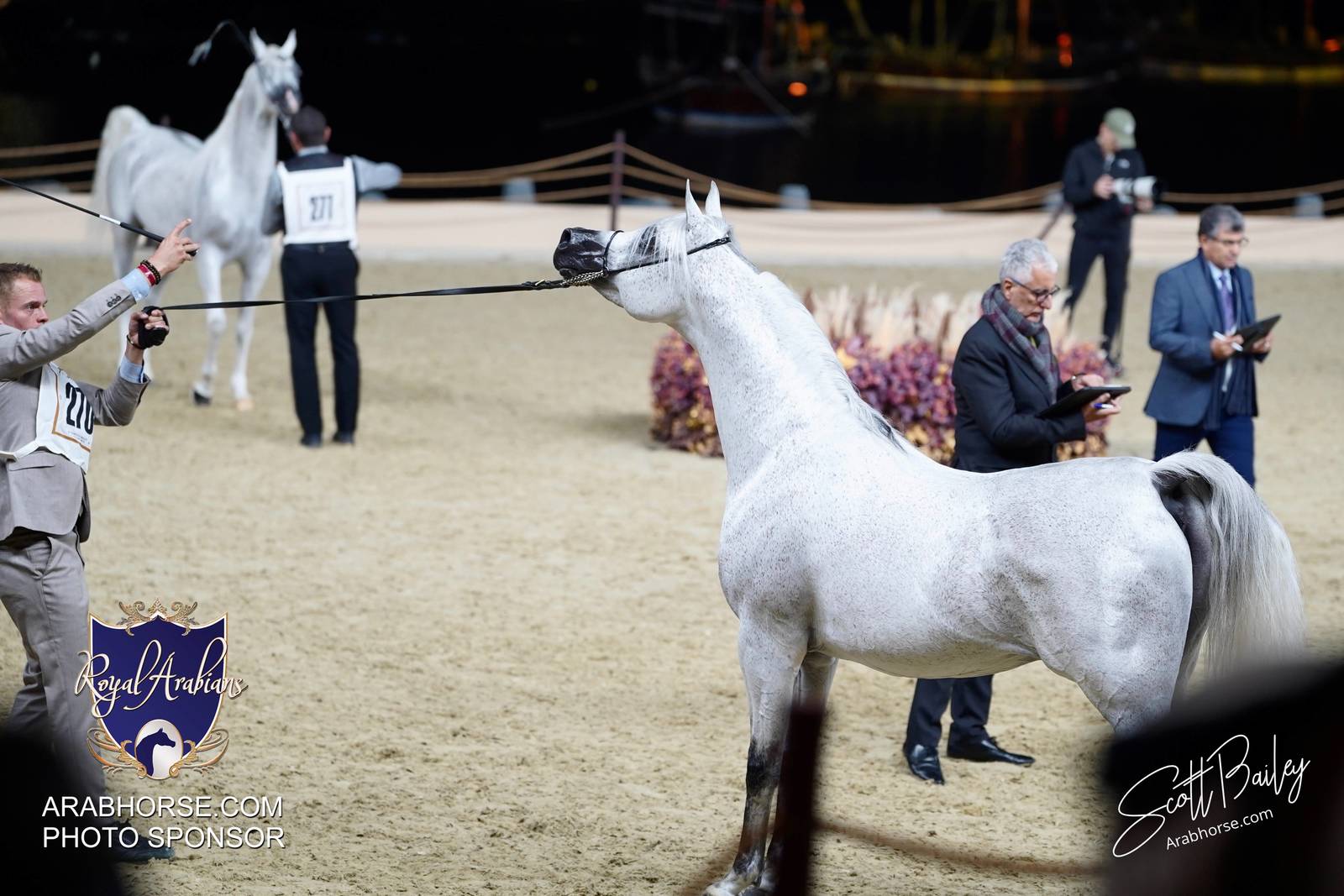 2024 KATARA SHOW - CHAMPIONSHIPS!