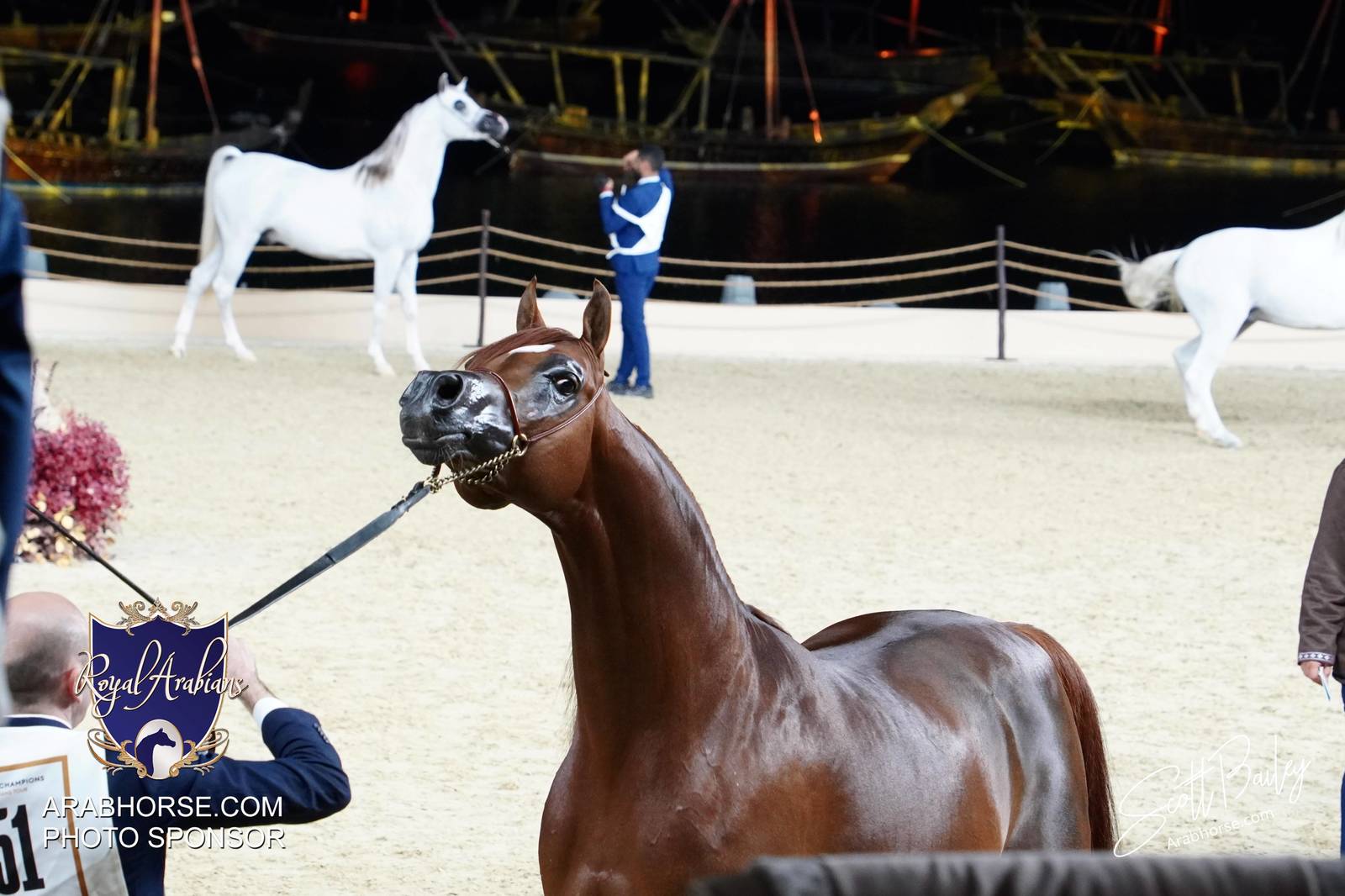 2024 KATARA SHOW - CHAMPIONSHIPS!