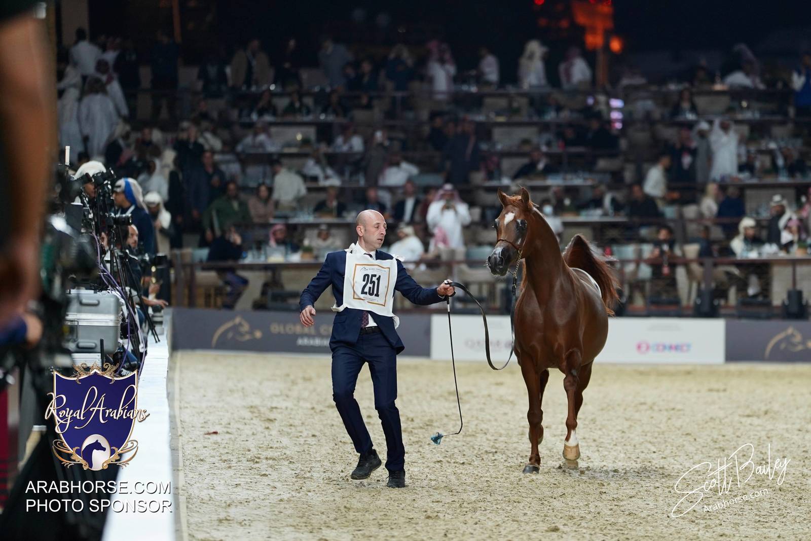 2024 KATARA SHOW - CHAMPIONSHIPS!