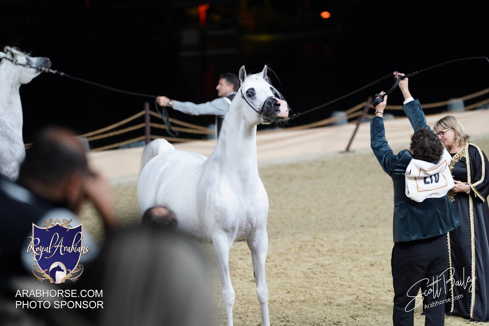 2024 KATARA SHOW - CHAMPIONSHIPS!