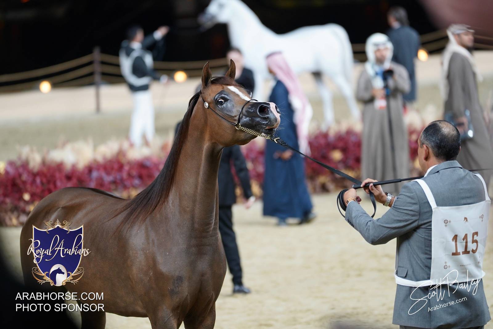 2024 KATARA SHOW - CHAMPIONSHIPS!