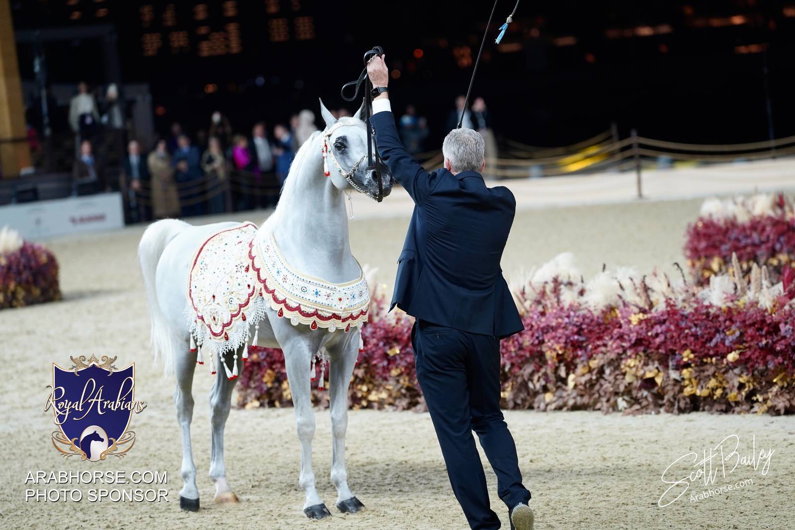 2024 KATARA SHOW - CHAMPIONSHIPS!