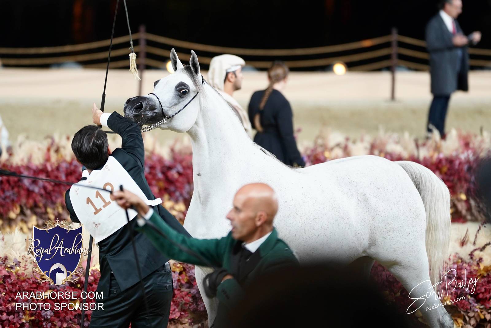 2024 KATARA SHOW - CHAMPIONSHIPS!