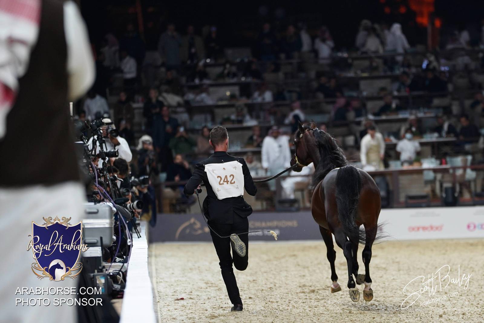 2024 KATARA SHOW - CHAMPIONSHIPS!