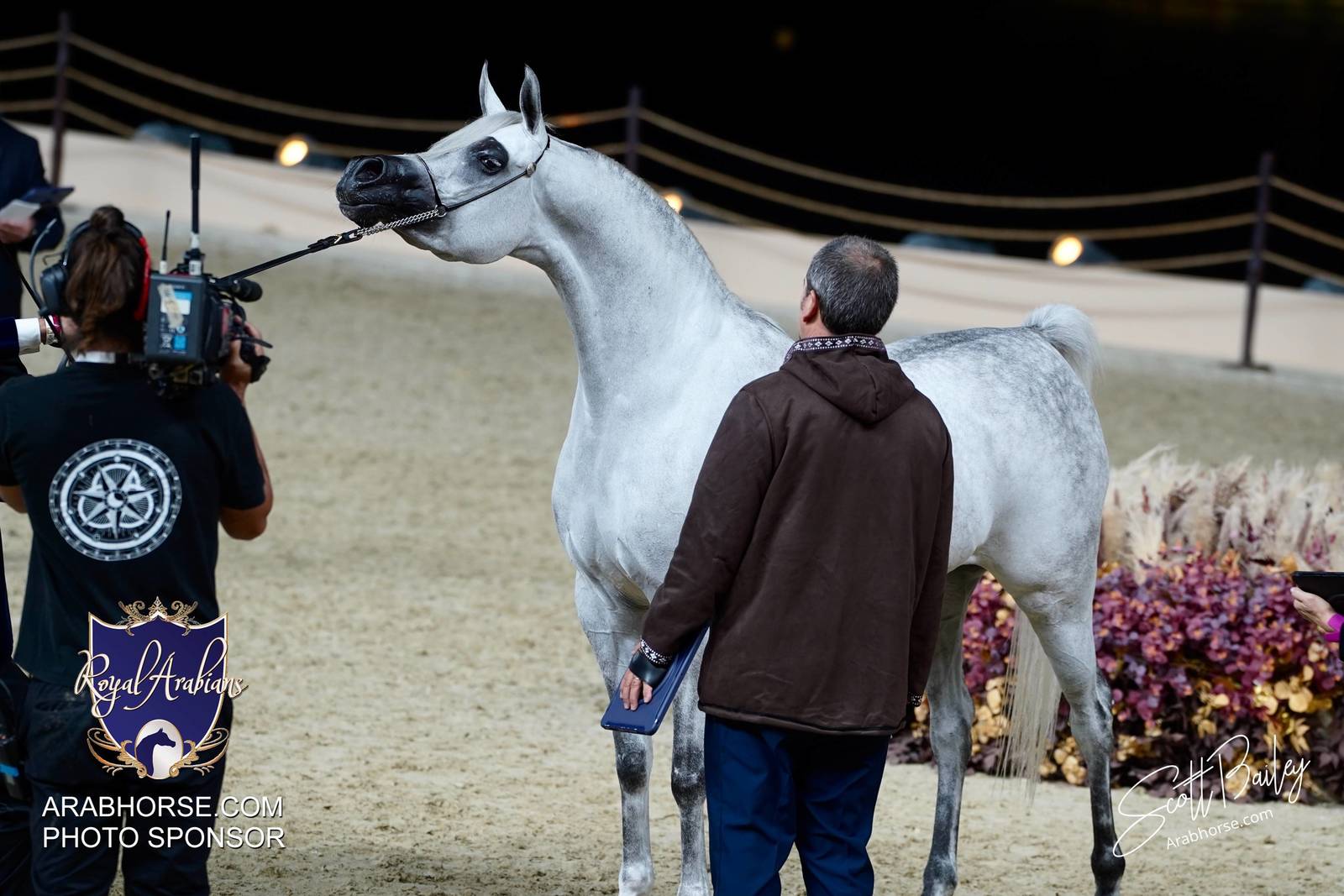 2024 KATARA SHOW - CHAMPIONSHIPS!