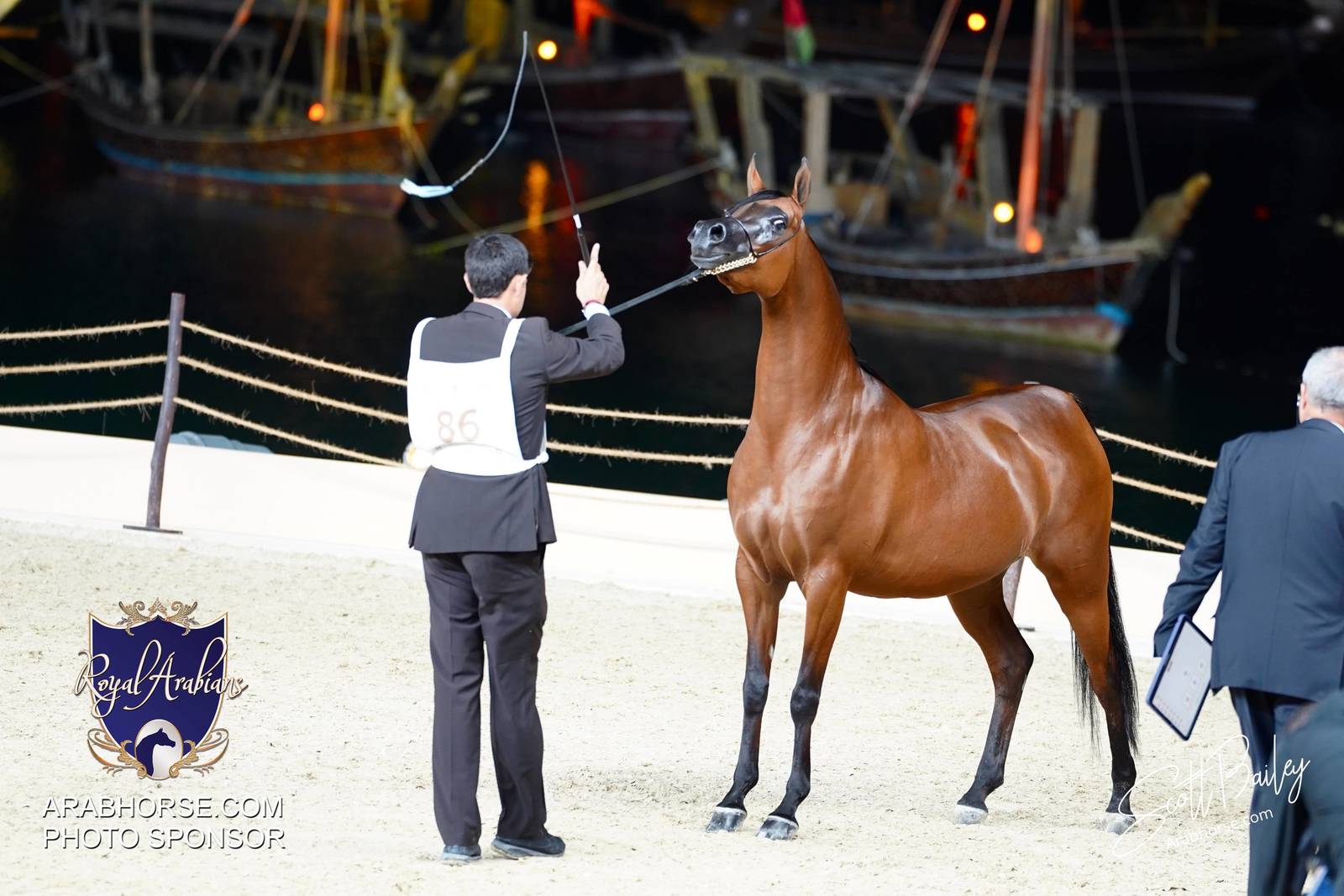 2024 KATARA SHOW - CHAMPIONSHIPS!