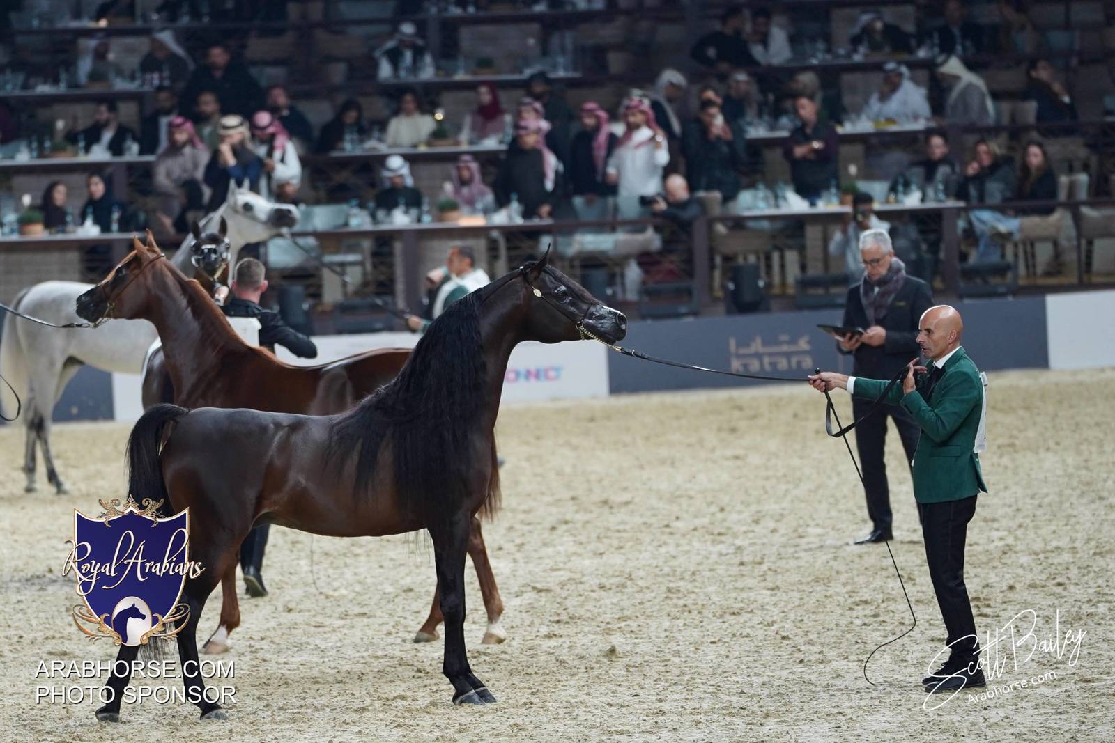 2024 KATARA SHOW - CHAMPIONSHIPS!