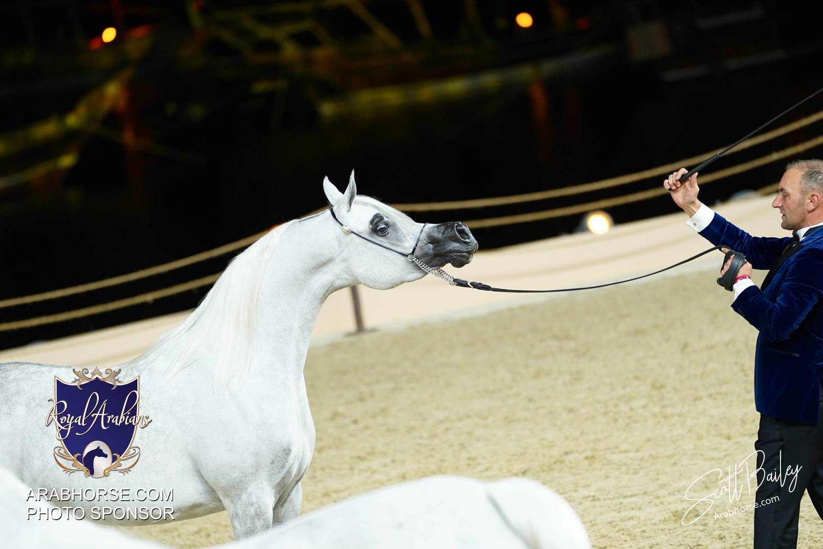 2024 KATARA SHOW - CHAMPIONSHIPS!