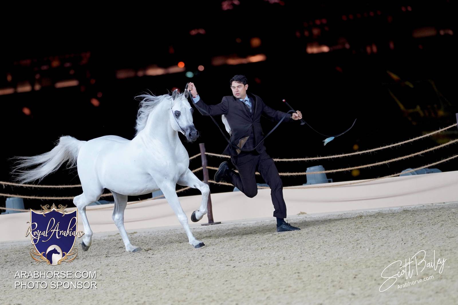 2024 KATARA SHOW - CHAMPIONSHIPS!