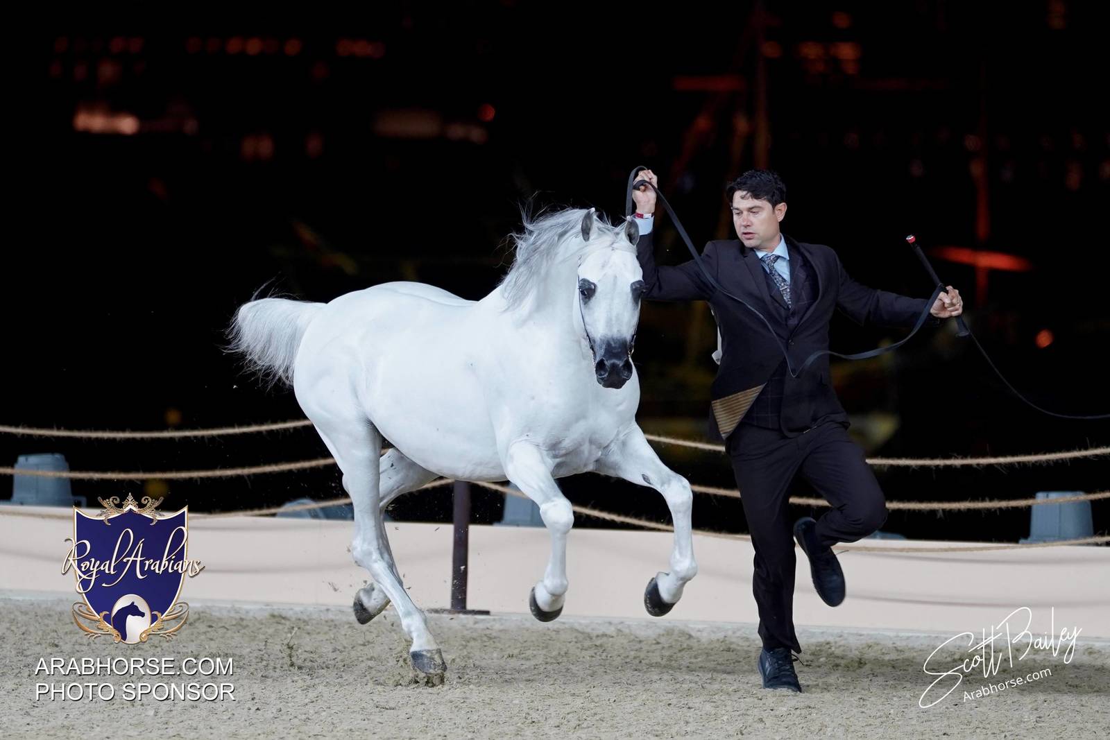 2024 KATARA SHOW - CHAMPIONSHIPS!