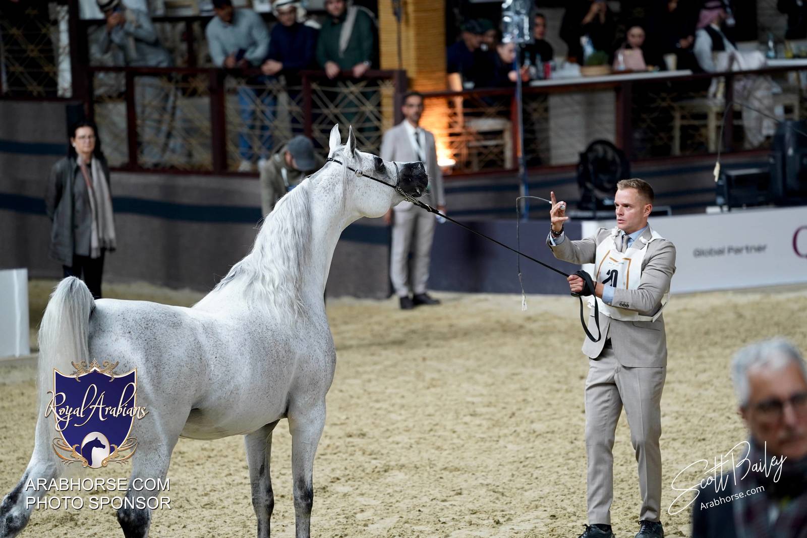 2024 KATARA SHOW - CHAMPIONSHIPS!