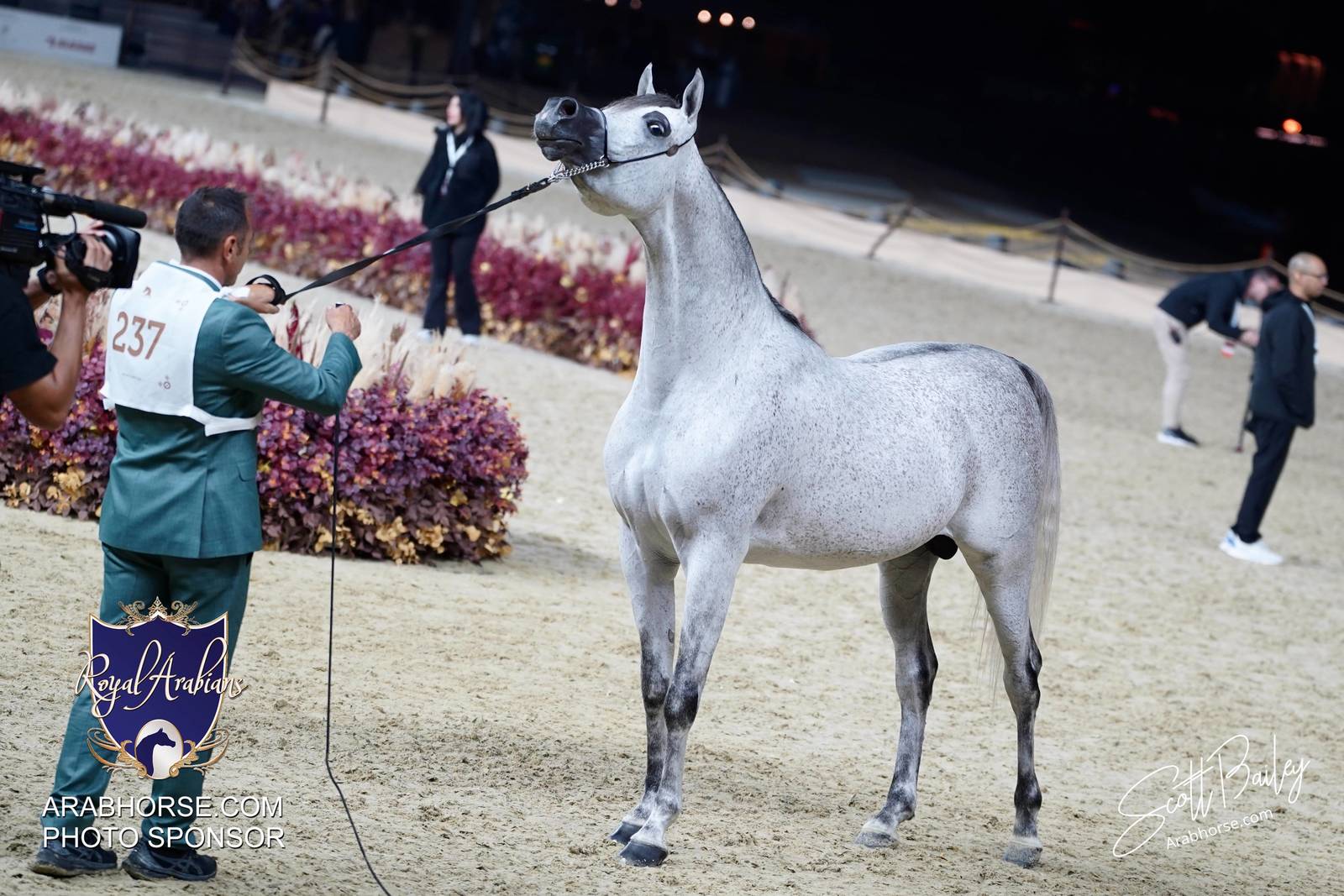 2024 KATARA SHOW - CHAMPIONSHIPS!