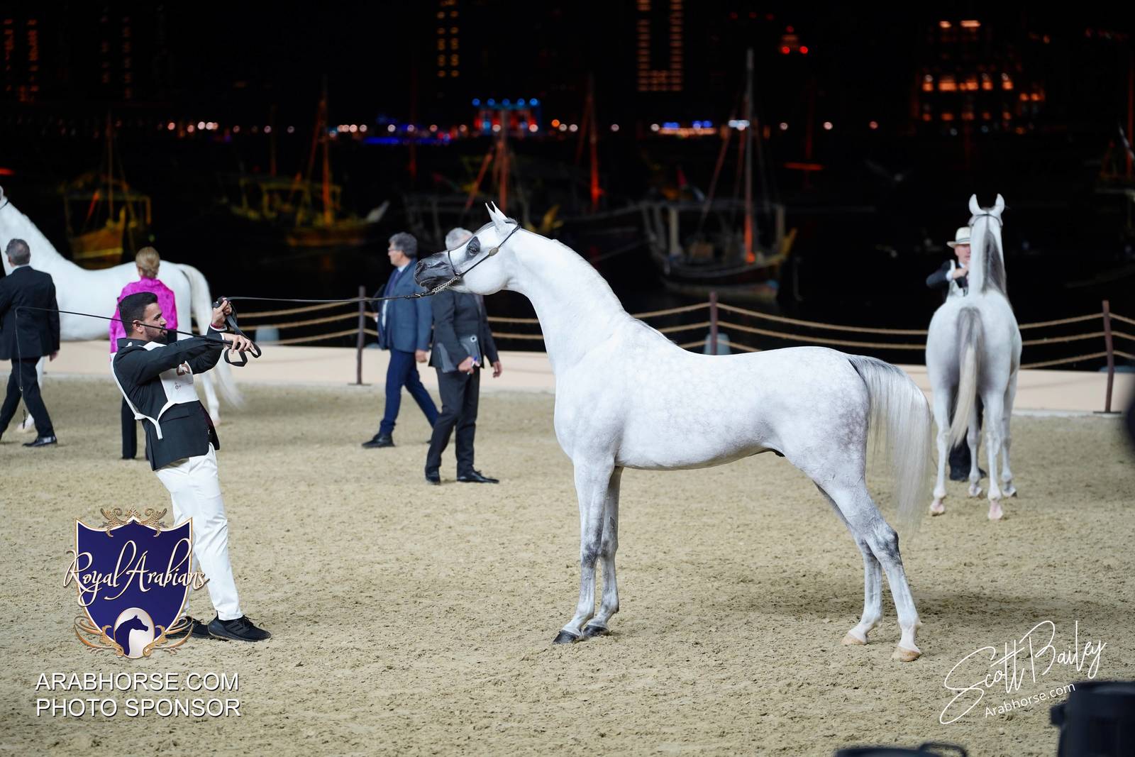 2024 KATARA SHOW - CHAMPIONSHIPS!