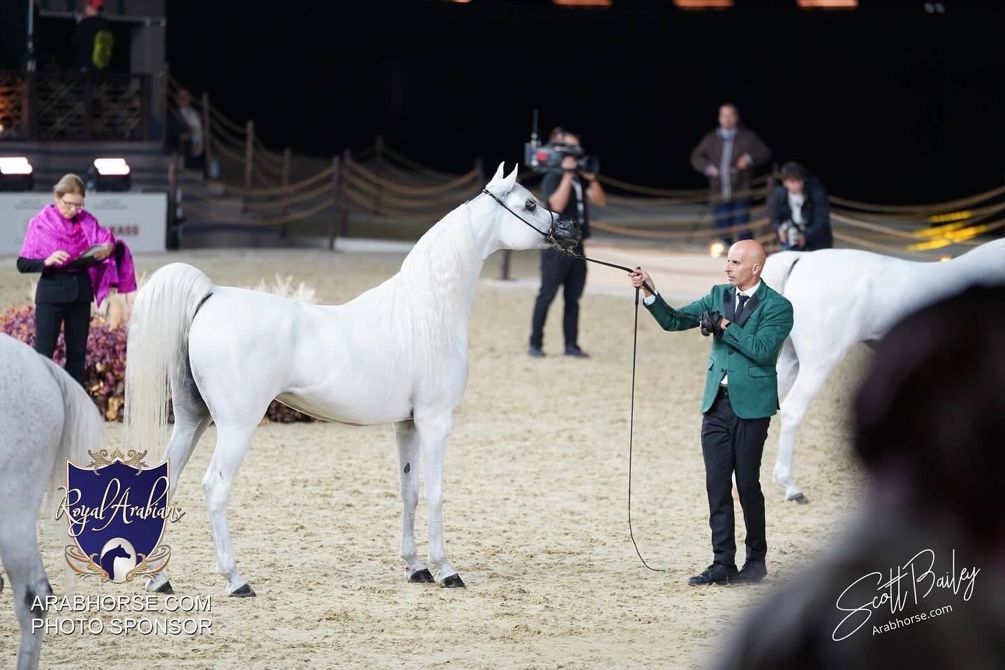 2024 KATARA SHOW - CHAMPIONSHIPS!