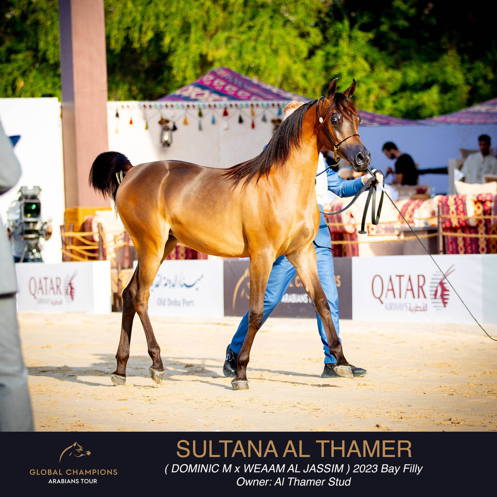 Day One of the Muscat stage of the Global Champions Arabians Tour