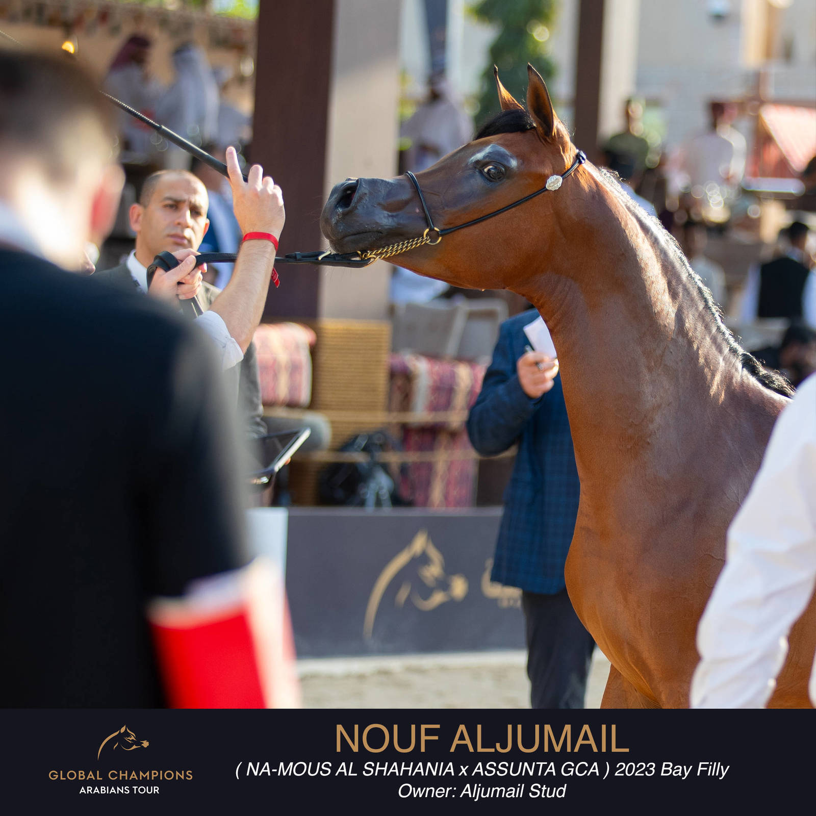 Day One of the Muscat stage of the Global Champions Arabians Tour