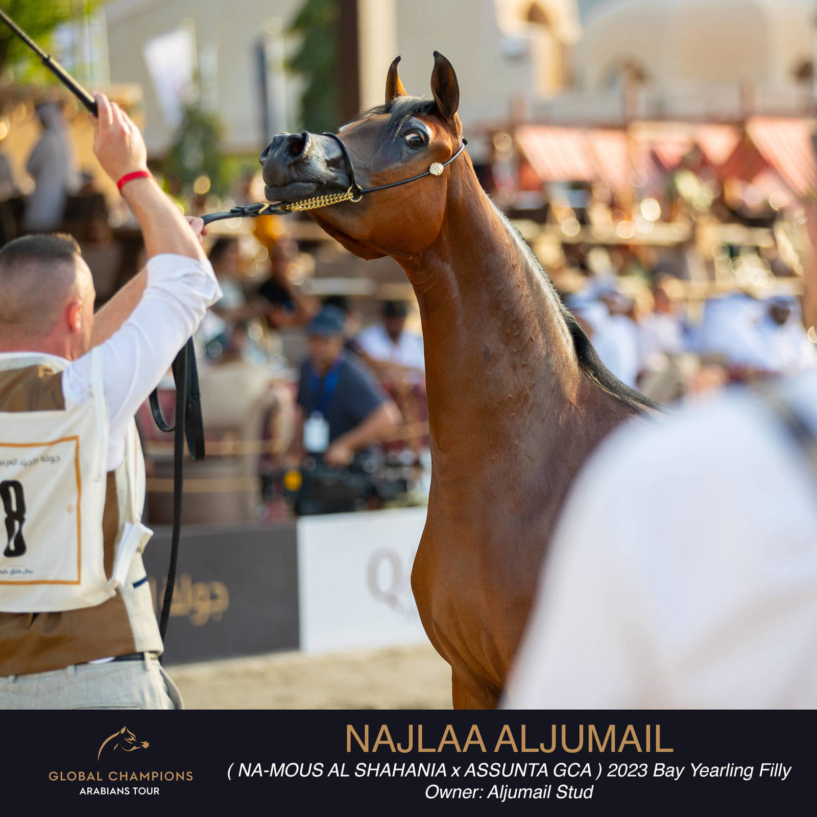 Day One of the Muscat stage of the Global Champions Arabians Tour