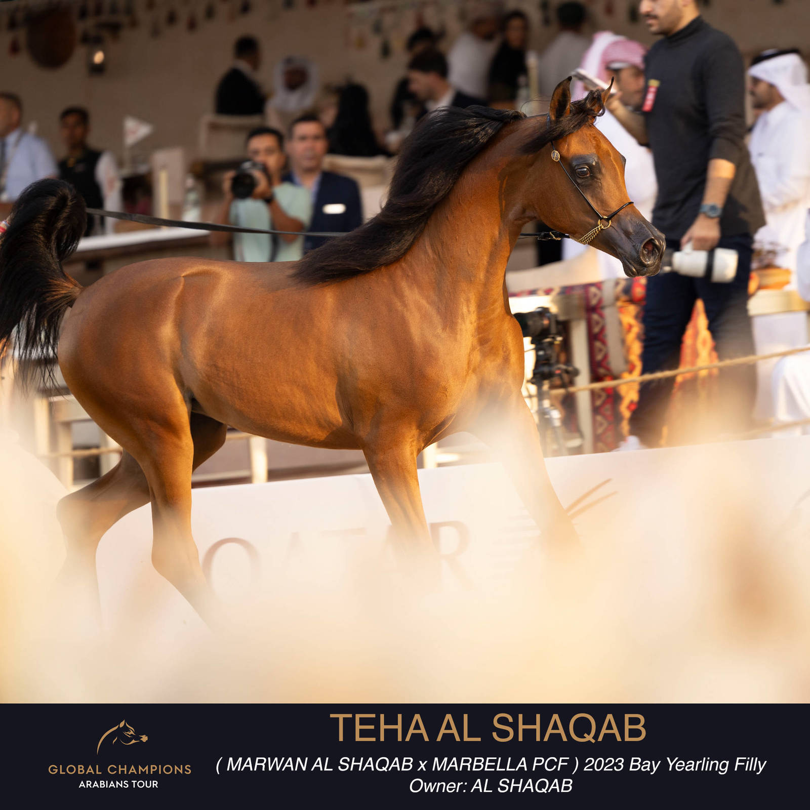 Day One of the Muscat stage of the Global Champions Arabians Tour