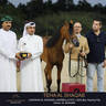 Day One of the Muscat stage of the Global Champions Arabians Tour