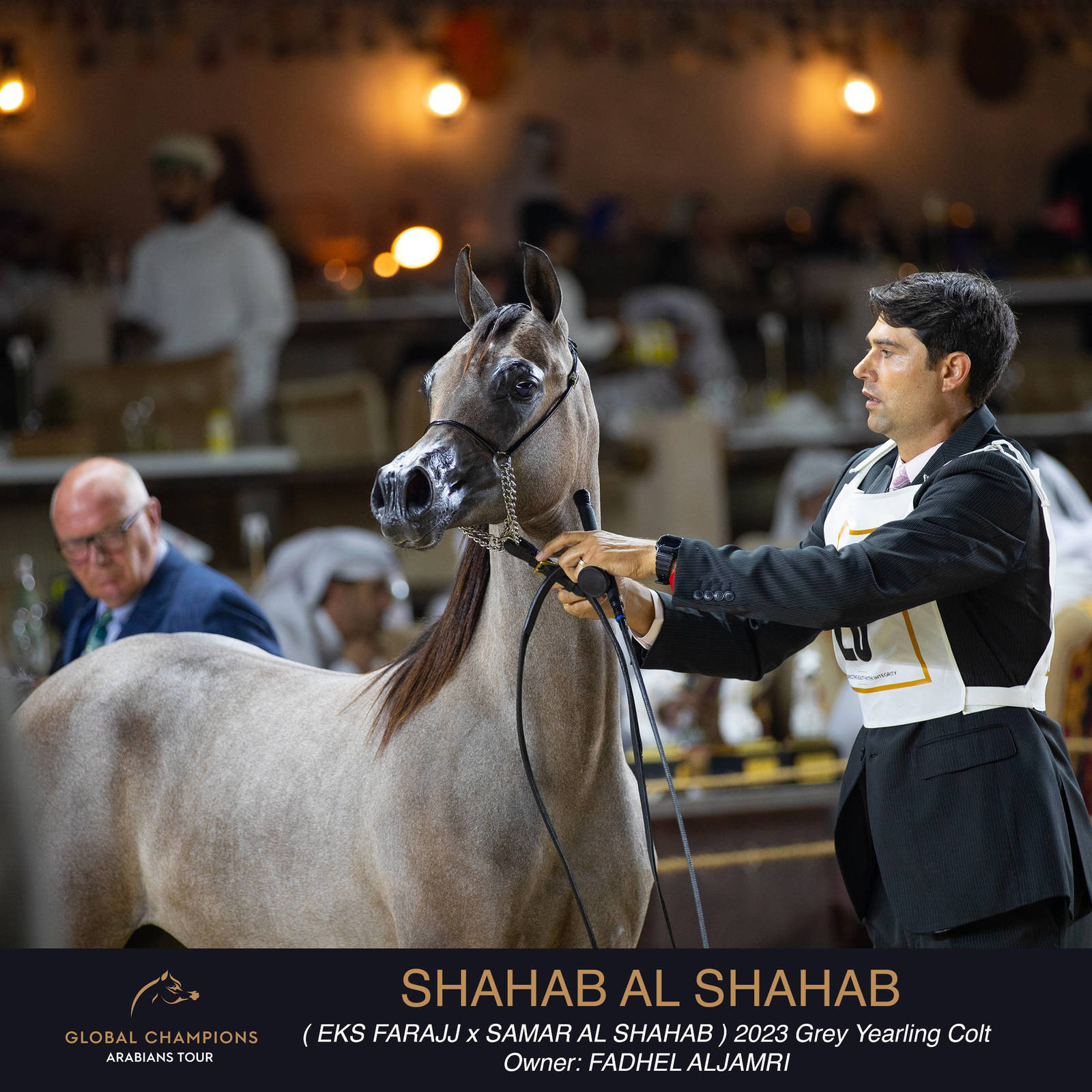 Day One of the Muscat stage of the Global Champions Arabians Tour