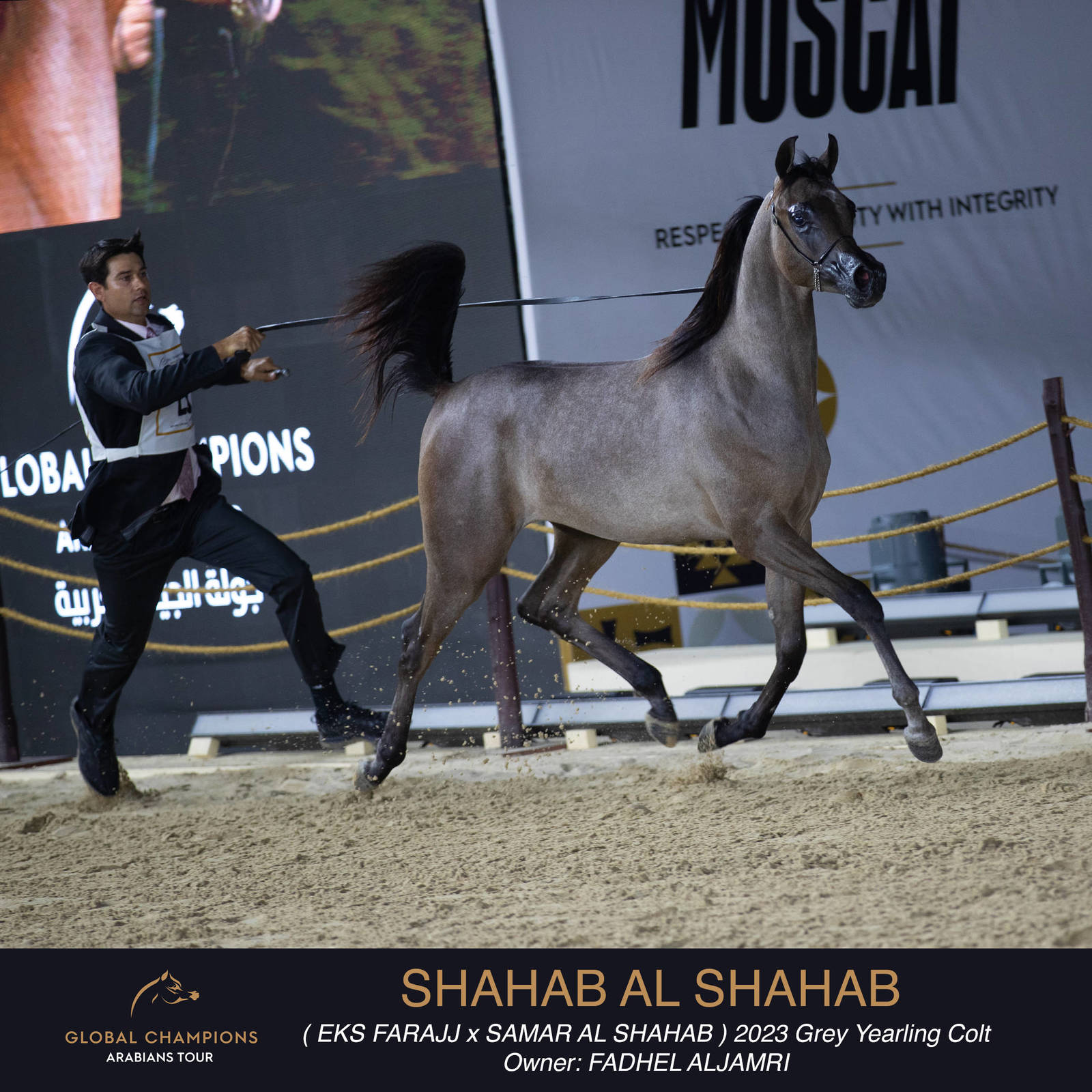 Day One of the Muscat stage of the Global Champions Arabians Tour