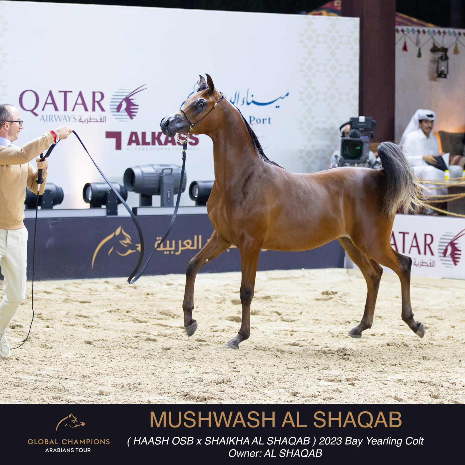 Day One of the Muscat stage of the Global Champions Arabians Tour