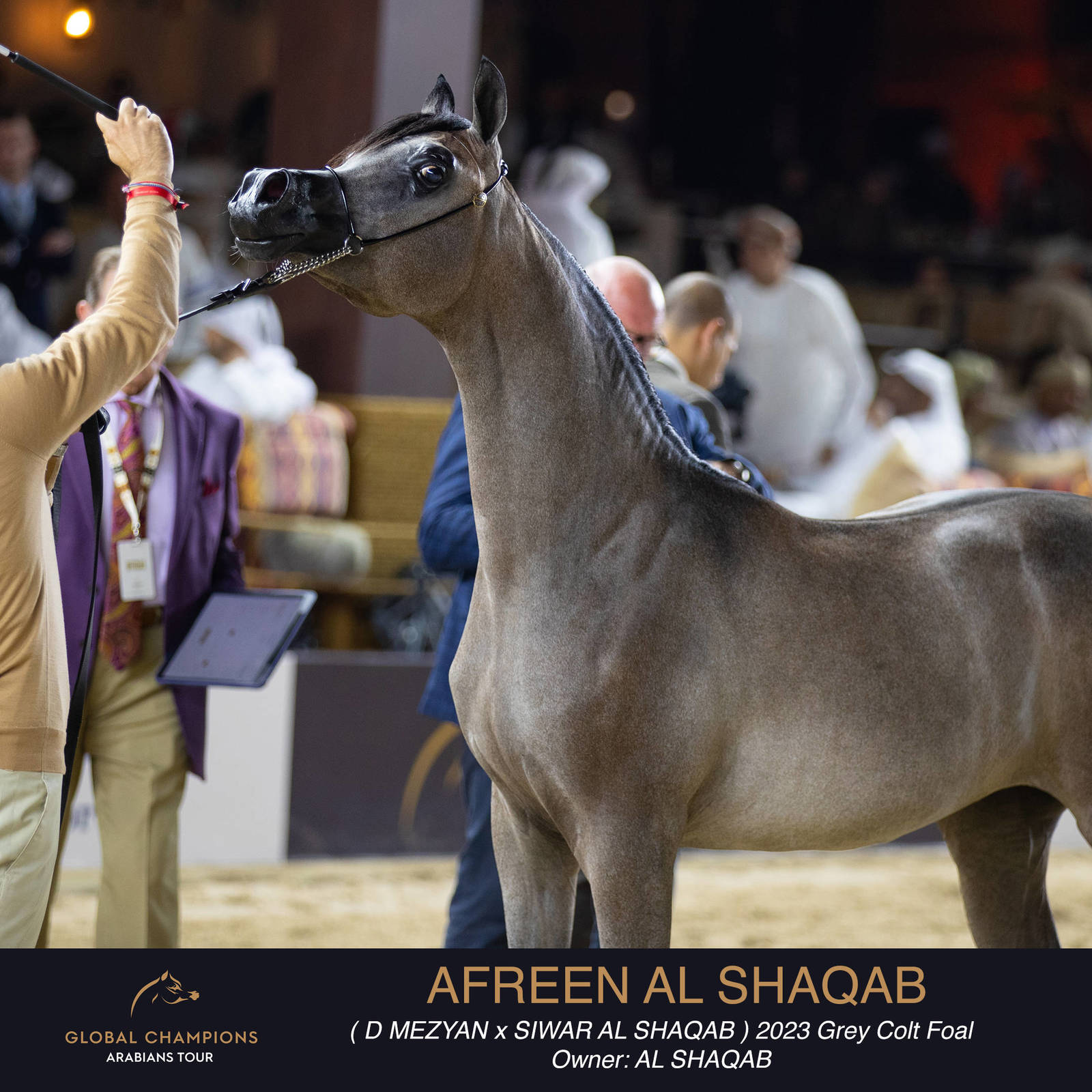 Day One of the Muscat stage of the Global Champions Arabians Tour