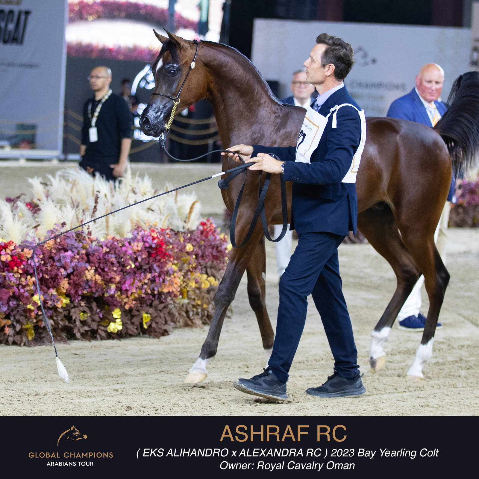 Day One of the Muscat stage of the Global Champions Arabians Tour