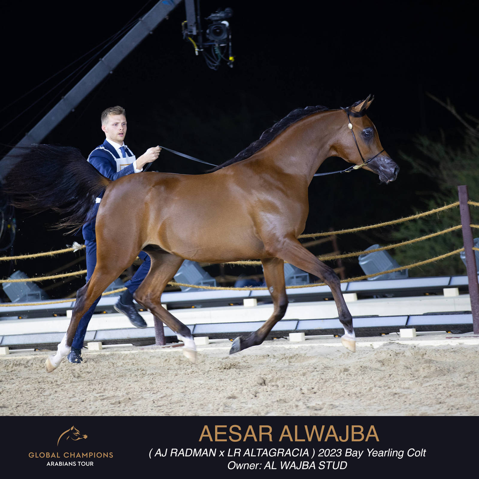 Day One of the Muscat stage of the Global Champions Arabians Tour